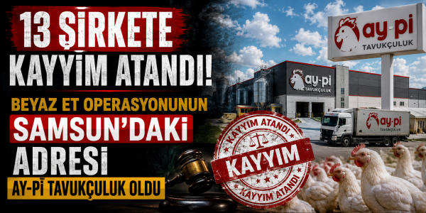 13 Şirkete Kayyım Atandı: Beyaz Et Operasyonunun Samsun’daki Adresi Ay-Pi Tavukçuluk Oldu
